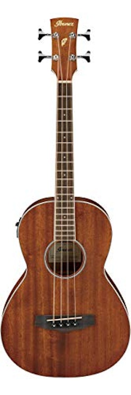 Ibanez PNB14E OPN 2