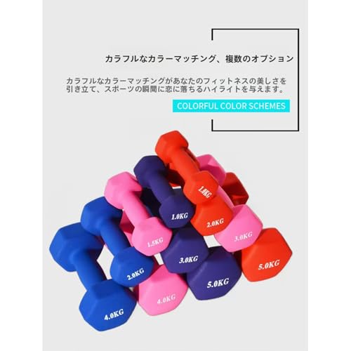 ダンベル 6