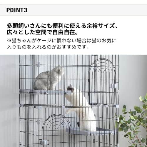 キャットランドケージ 6