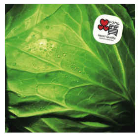 21年 応援ソングのおすすめ人気ランキング50選 Mybest