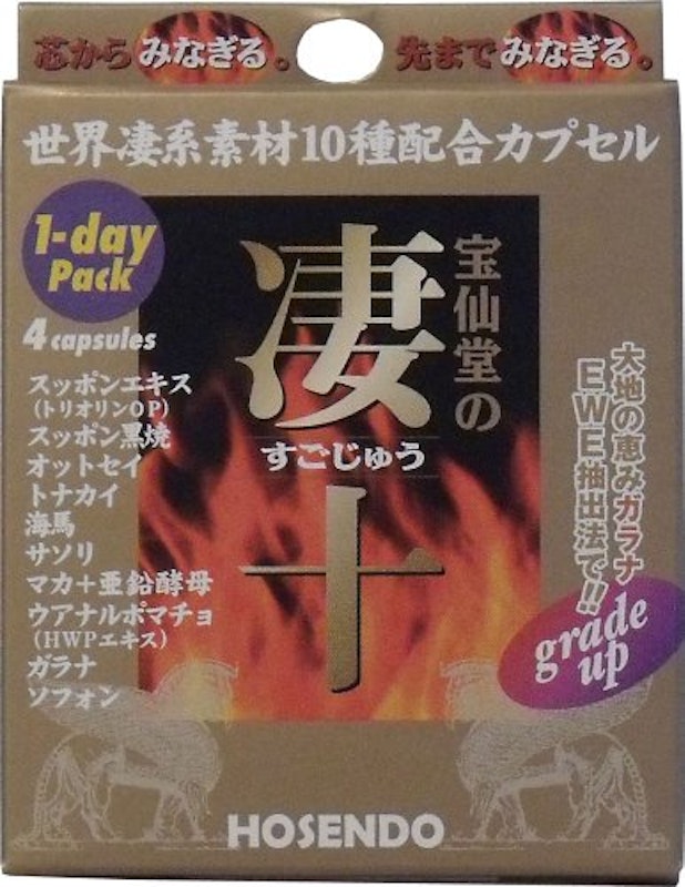 凄十 1dayパック 1