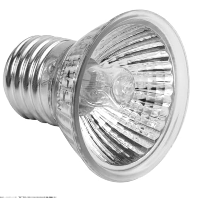 爬虫類ライト用電球 1