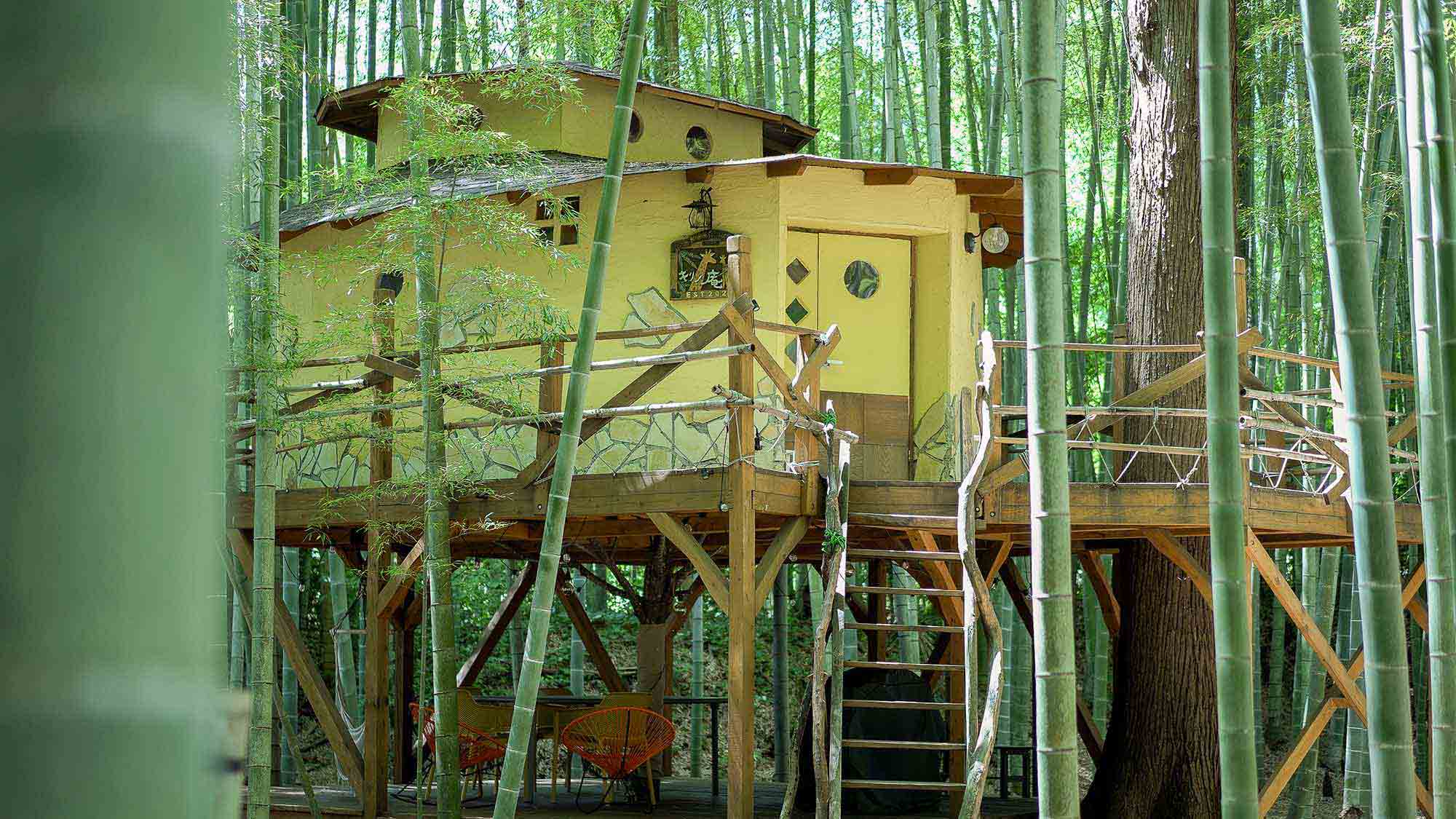 The Bamboo forest 7