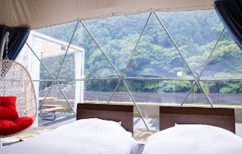 FOREST GLAMPING 4