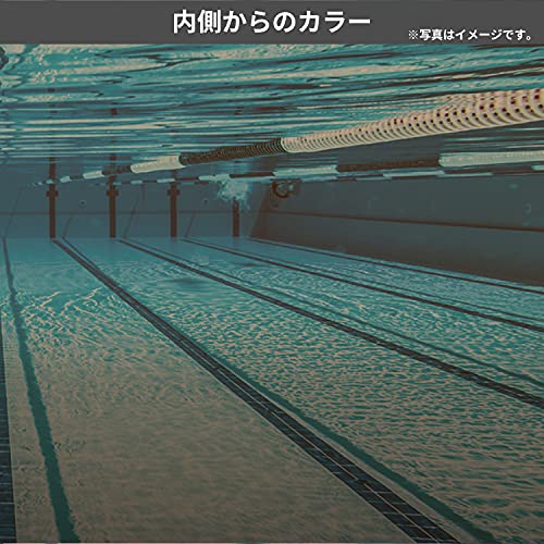 SWANS アセンダー 5