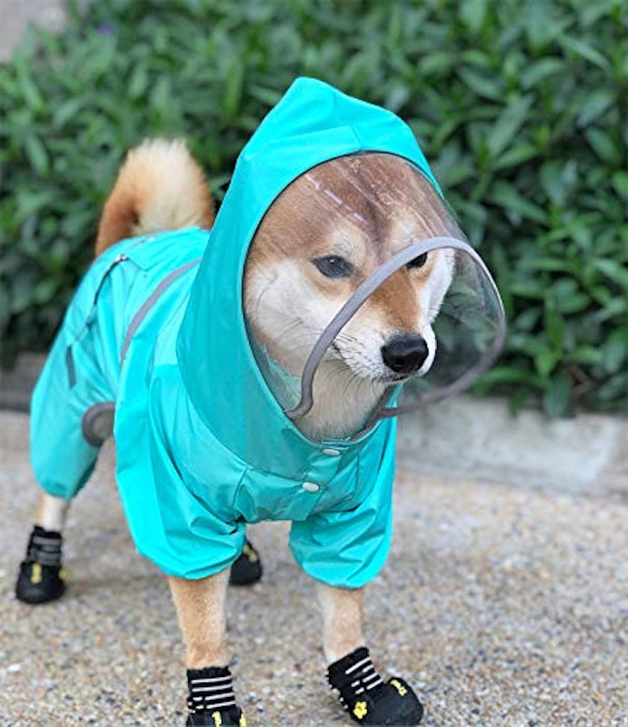 犬用レインコート 2