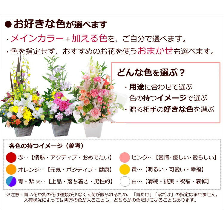 Grace 4