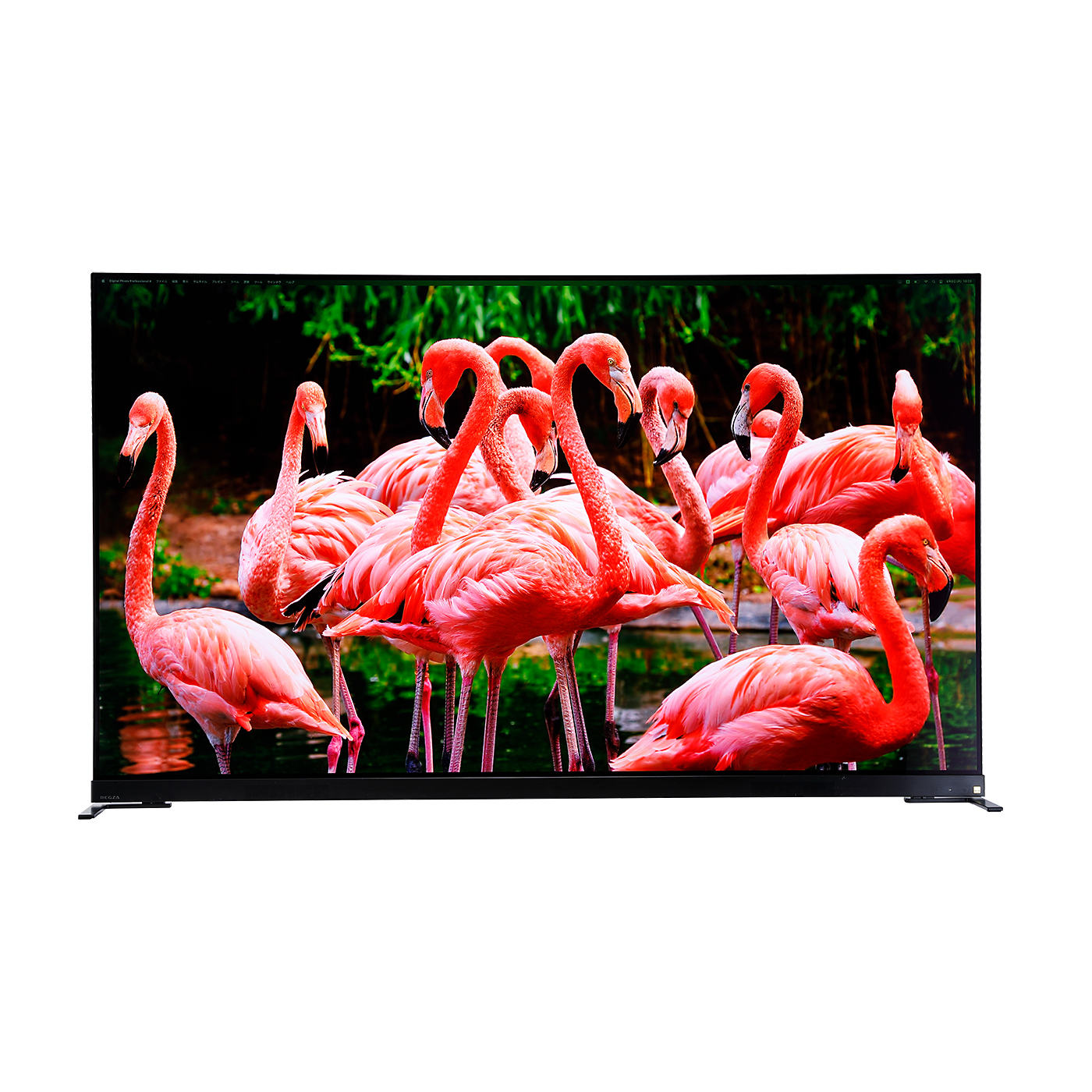 REGZA65型 REGZA 4K液晶テレビ REGZA 65V型/高輝度ファインminiLED/タイム