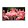 TVS REGZA 4K有機ELテレビ 1