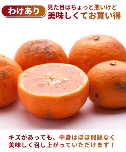 訳あり カラマンダリン 3