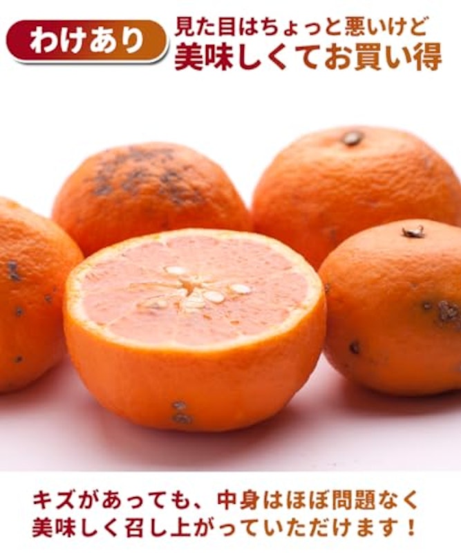 訳あり カラマンダリン 3