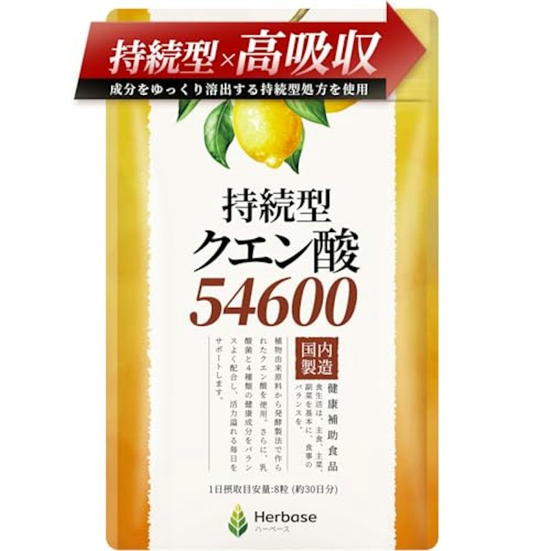 持続型クエン酸54600 1