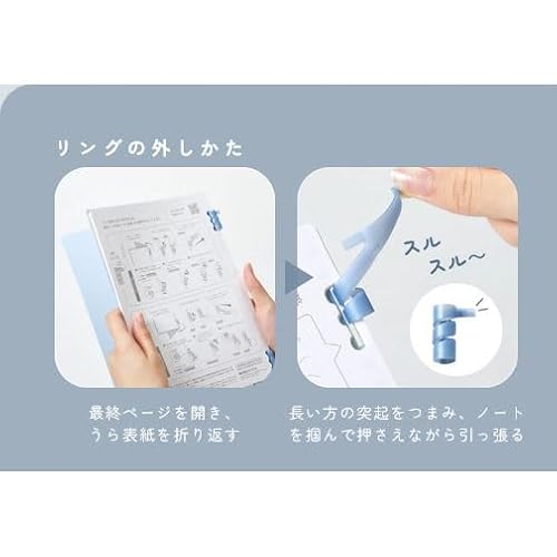 専用ルーズリーフ 5