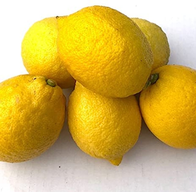 通販のお取り寄せレモンのおすすめ人気ランキング9選 Mybest