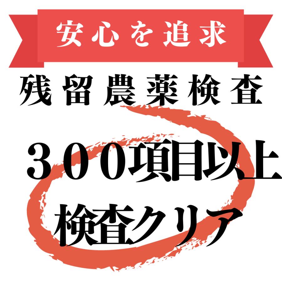 国産 桑の葉茶 3