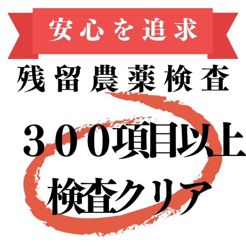 国産 桑の葉茶 3