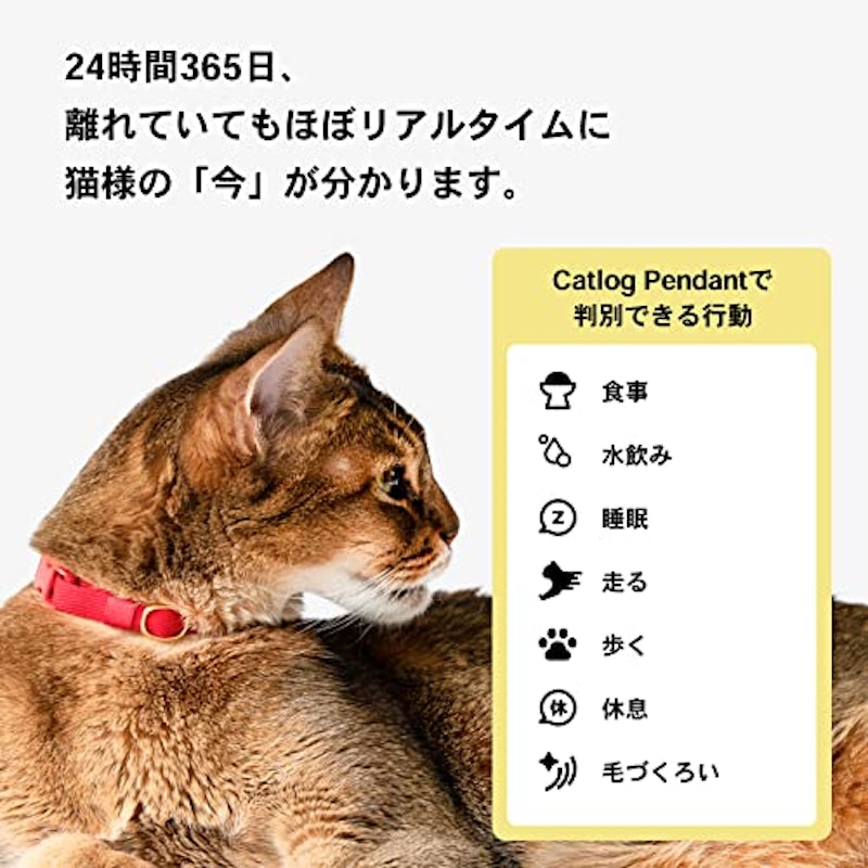 Catlog 3