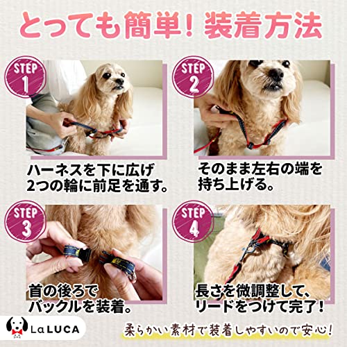 犬用ハーネス 5