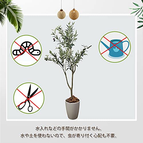フェイクグリーン 7