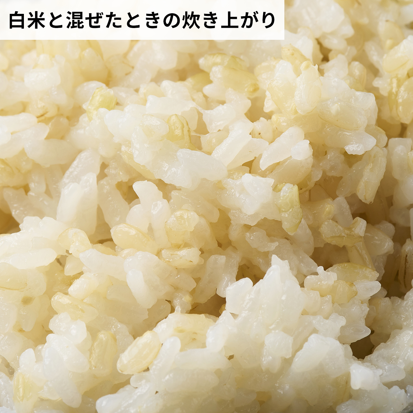 発芽米 7