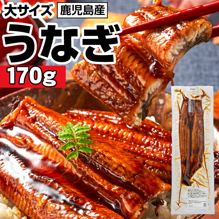 うなぎ蒲焼 1