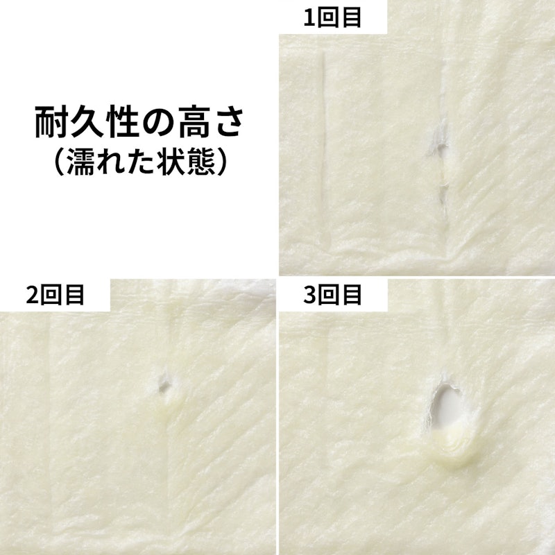 薄型ペットシーツこまめに交換用 10
