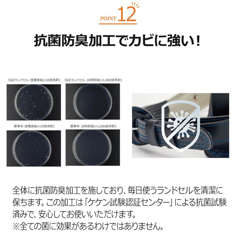 リードハート 13