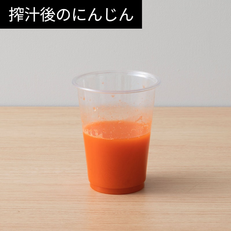 スロージューサー 6