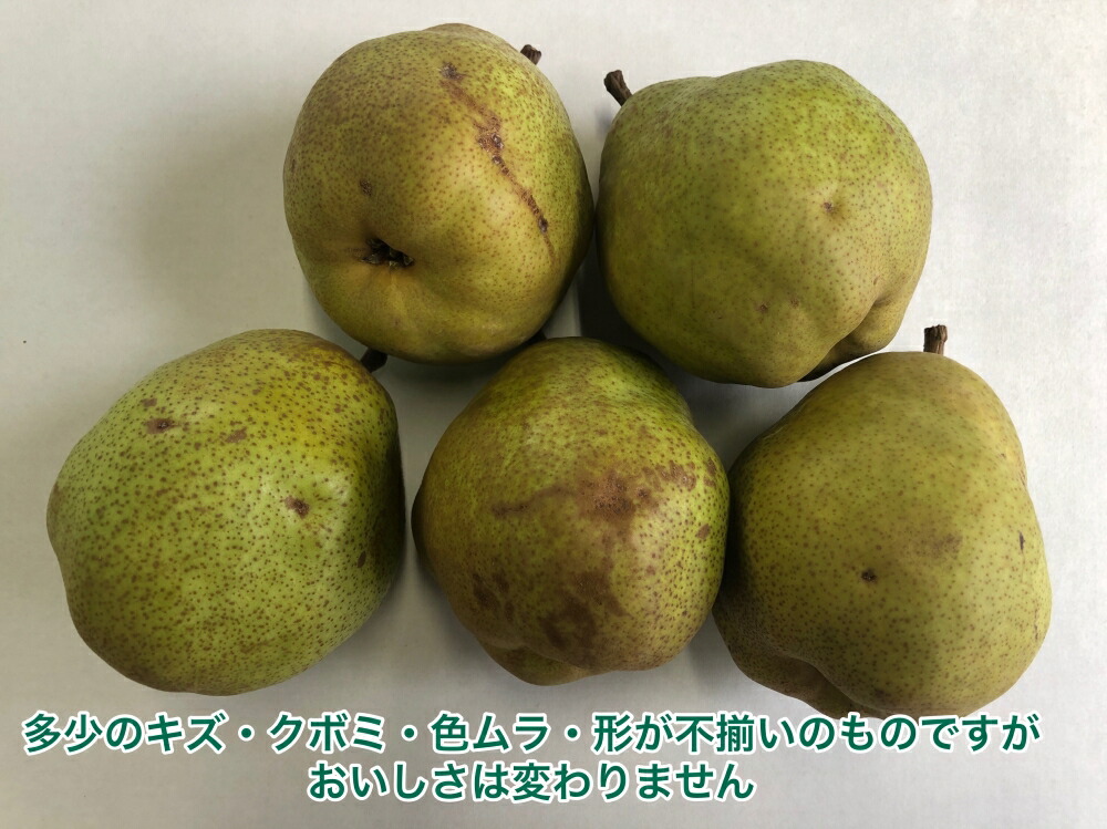 ラ・フランス  家庭用 2