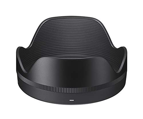 28-70mm F2.8 DG DN Contemporary 4