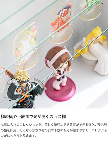 Legen コレクションケース  5