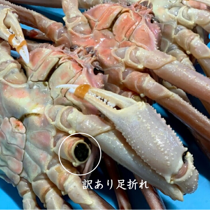 松葉ガニ 足折れ 3