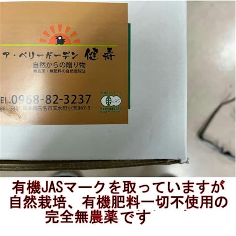 無農薬不知火 2