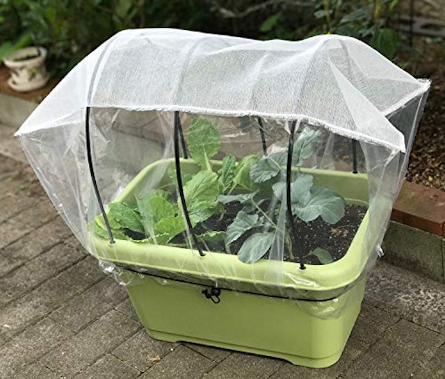 プランター菜園用防虫ネットのおすすめ人気ランキング8選 Mybest プランター菜園用防虫ネットのおすすめ人気ランキング8選 Mybest