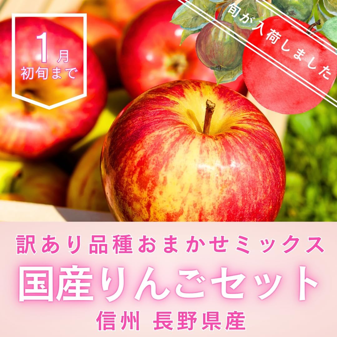 訳あり品種おまかせミックス 国産りんごセット 2