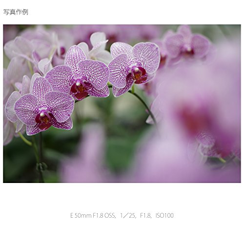 E 50mm F1.8 OSS 17