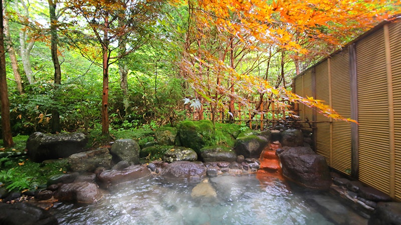 森の湯 山静館 2