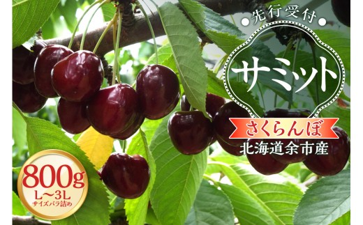 さくらんぼ サミット 1