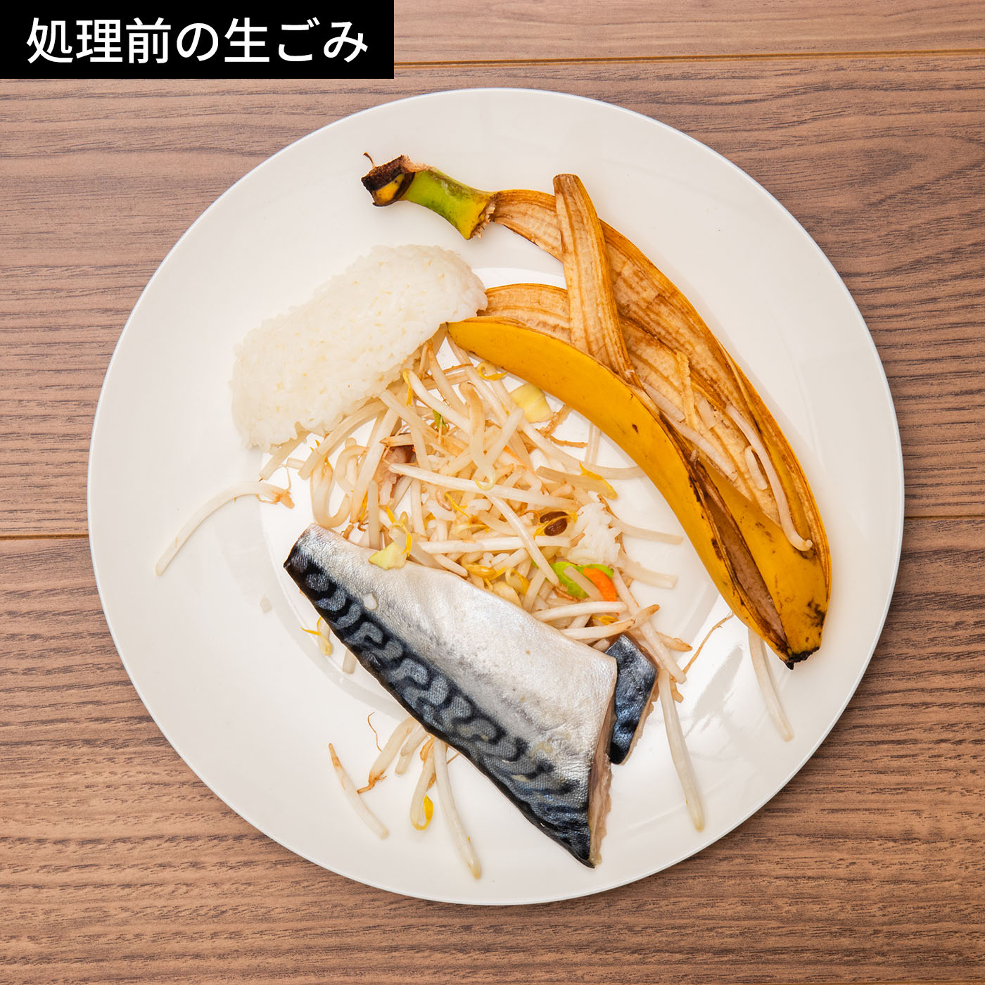 家庭用生ごみ処理機 ナクスル 2