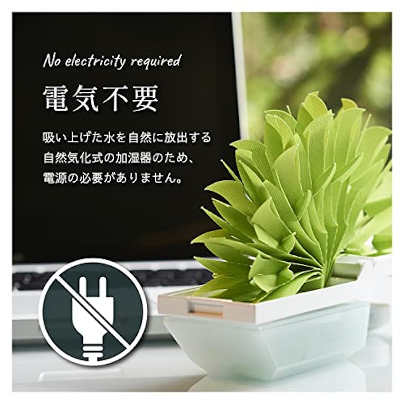 ちょこっとオアシスプラスシー 2