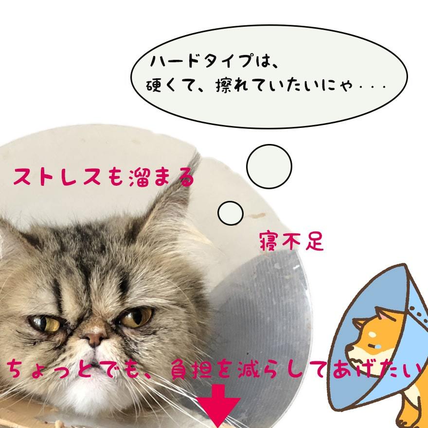 エリザベスカラー 2