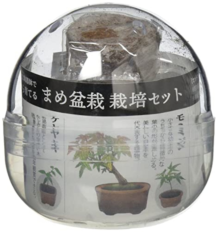育てるカプセル まめ盆栽 1