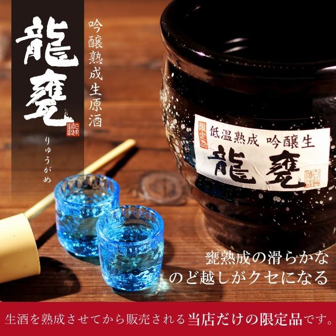 吟醸 龍甕 1