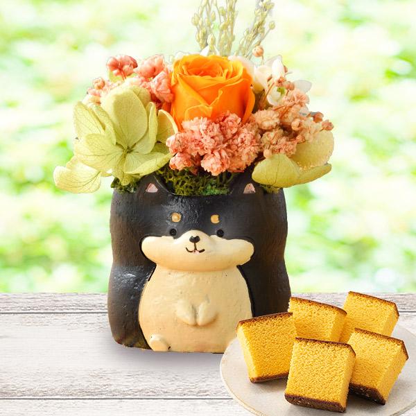 動物プリザとカステラ MDPE 2