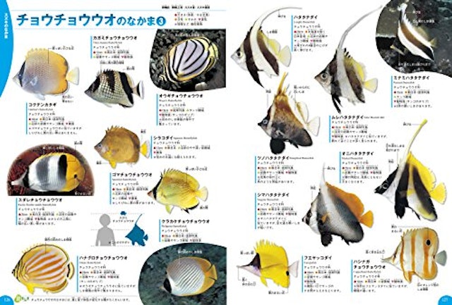 21年 魚図鑑のおすすめ人気ランキング15選 Mybest 21年 魚図鑑のおすすめ人気ランキング15選 Mybest
