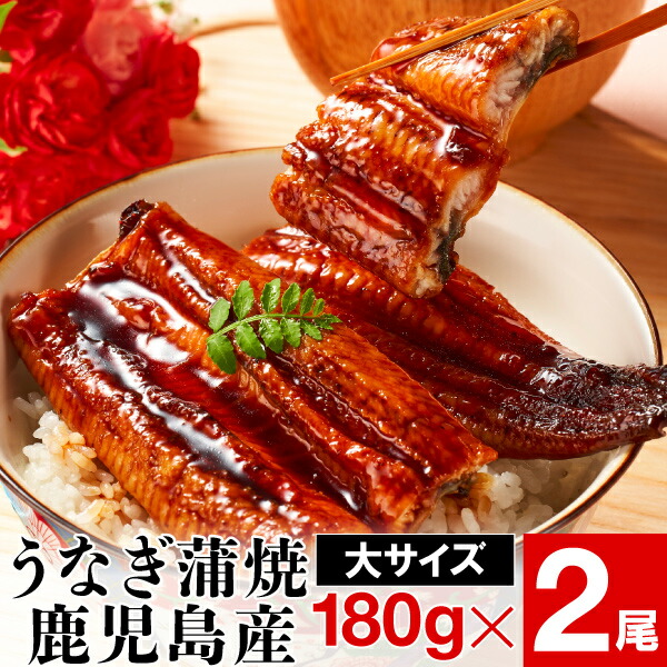 うなぎ蒲焼 1