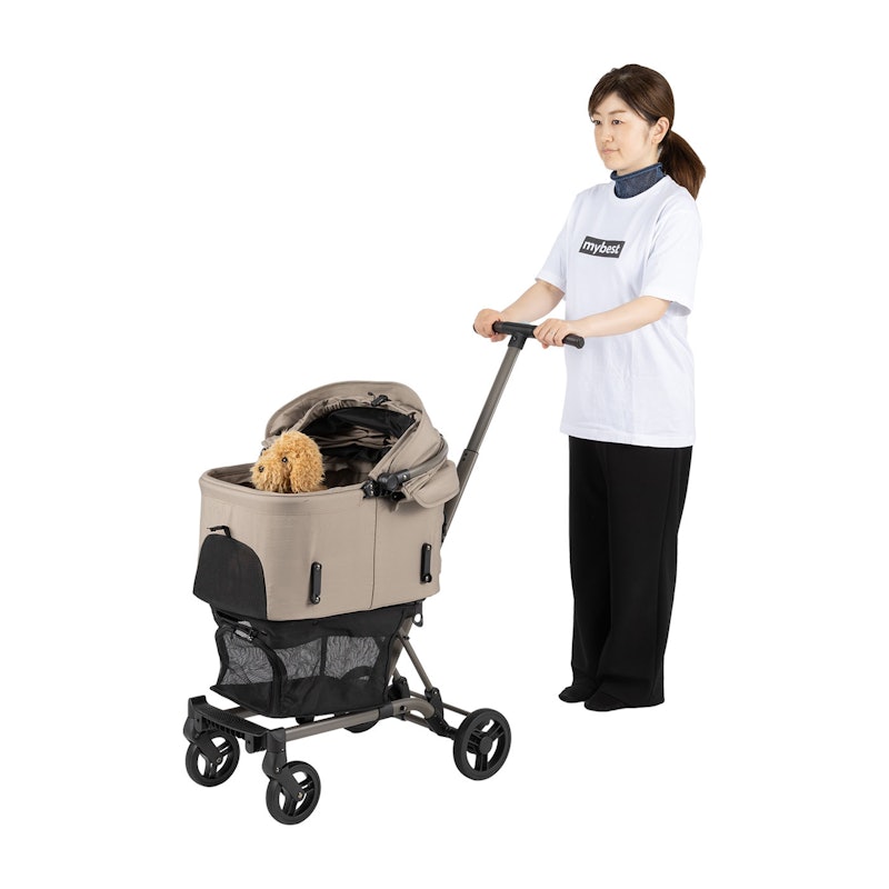 WIZ X 3