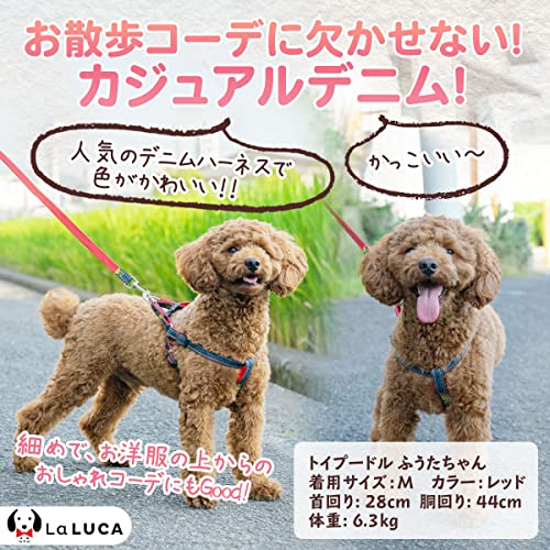 犬用ハーネス 2