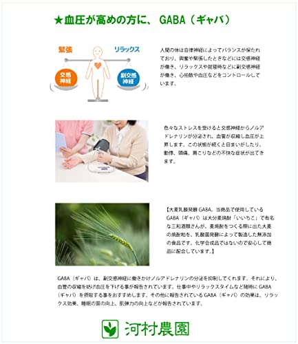 九州産桑の葉茶 5