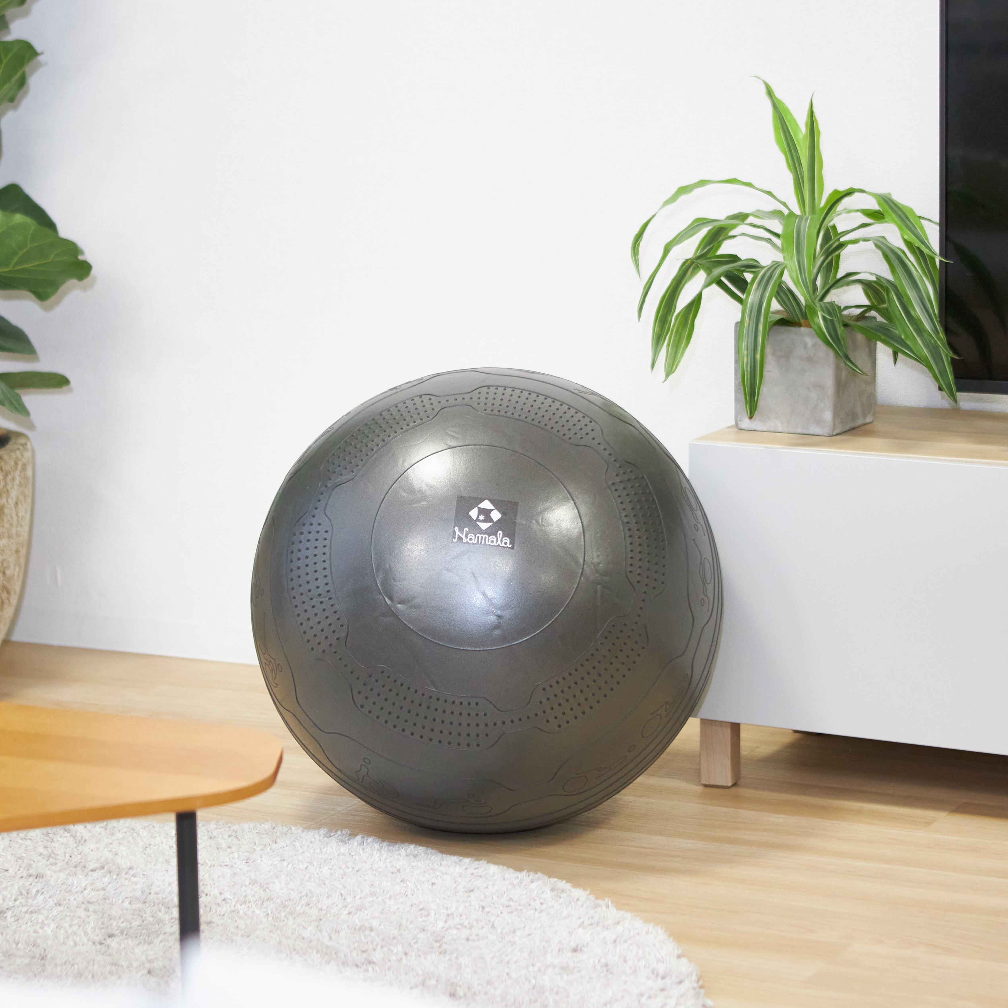 ボールナール ナガセケンコー 軟式ボール M号 ダース 一般 中学生 ボール 16JBR11100